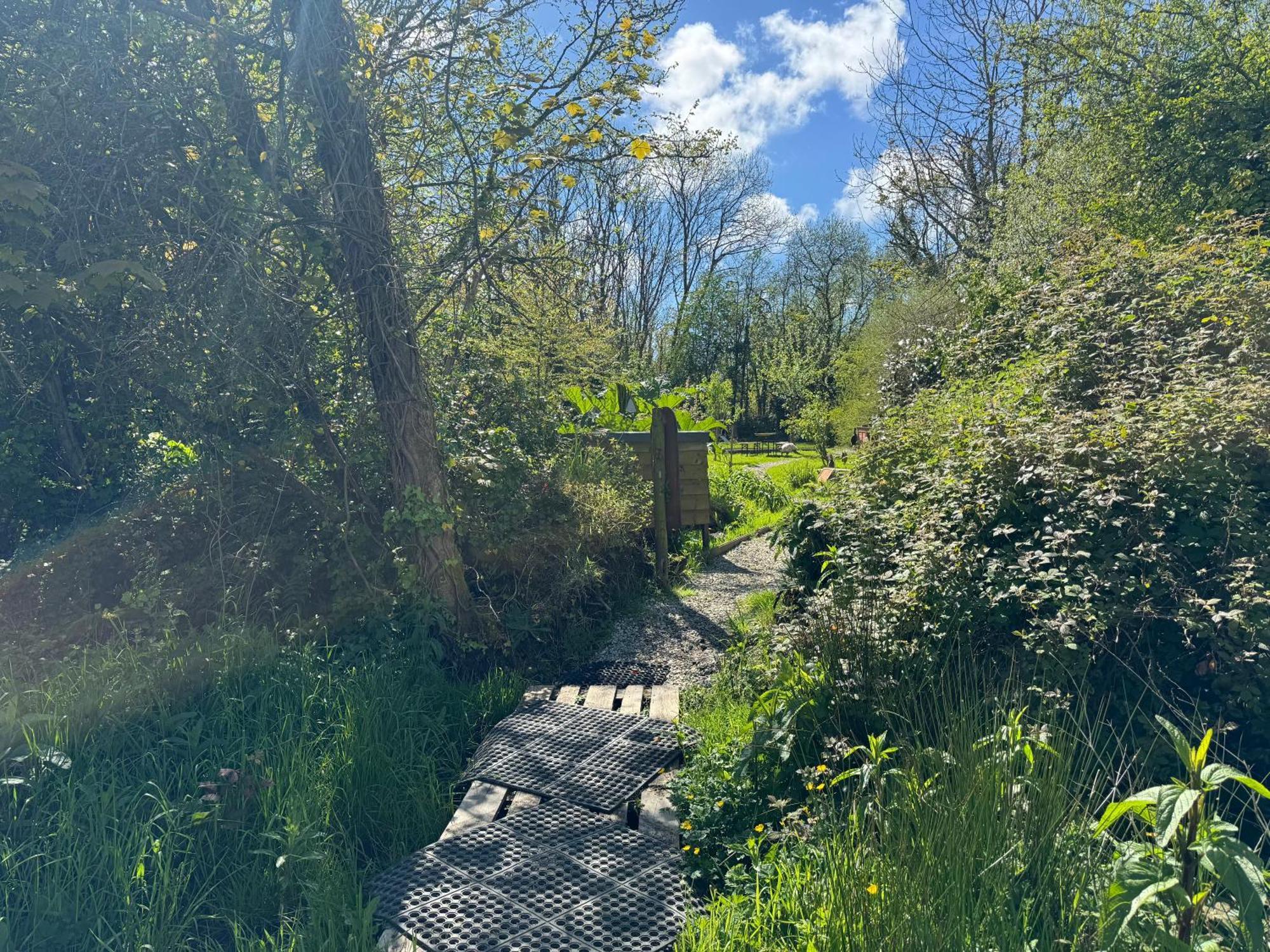 Penhallow House St Newlyn East Zewnętrze zdjęcie